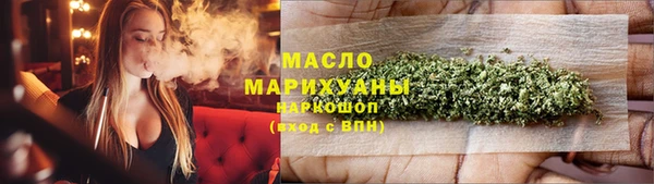 гидра Горняк