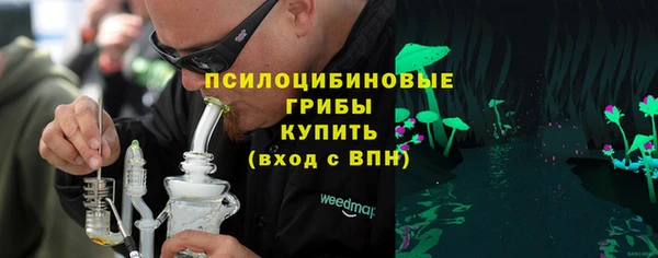 индика Вязьма