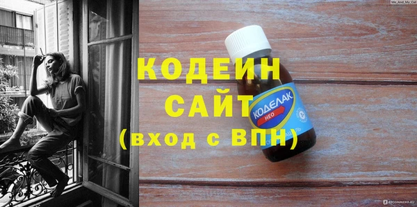индика Вязьма