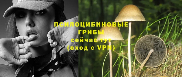 индика Вязьма
