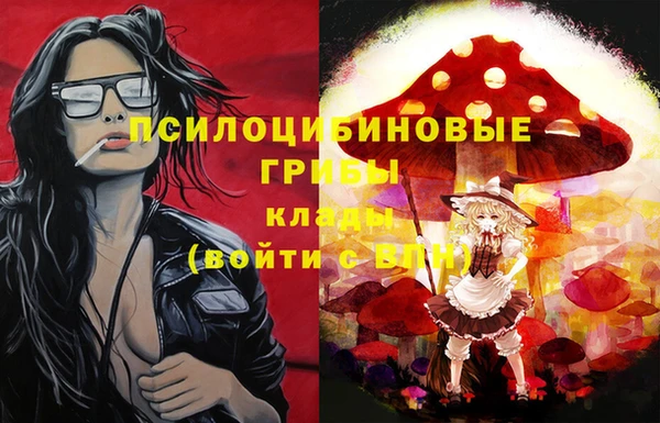 индика Вязьма