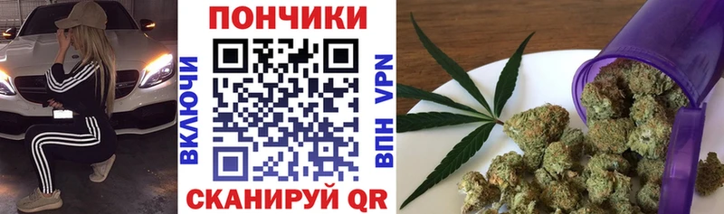 Шишки марихуана марихуана  Жирновск 
